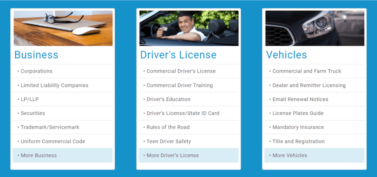 cyberdriveillinois-services