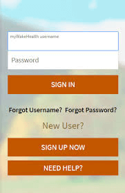 mywakehealth-login